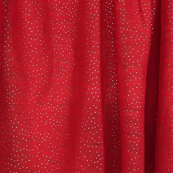 Way to Celebrate Valentines Girl Tutu Mesh skirt L(10-12) Brilliant Red - Picture 4 of 9